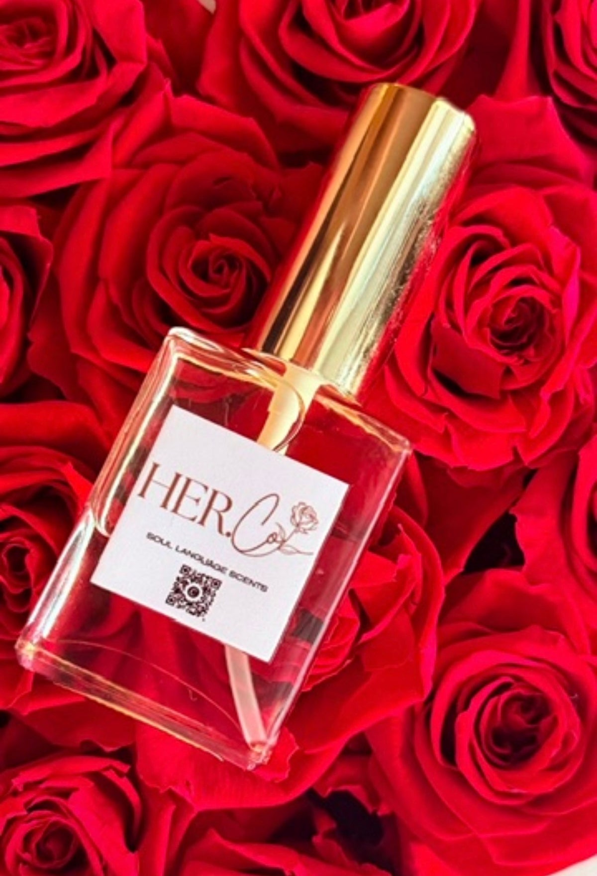 Fav Perfume Into Body Oil